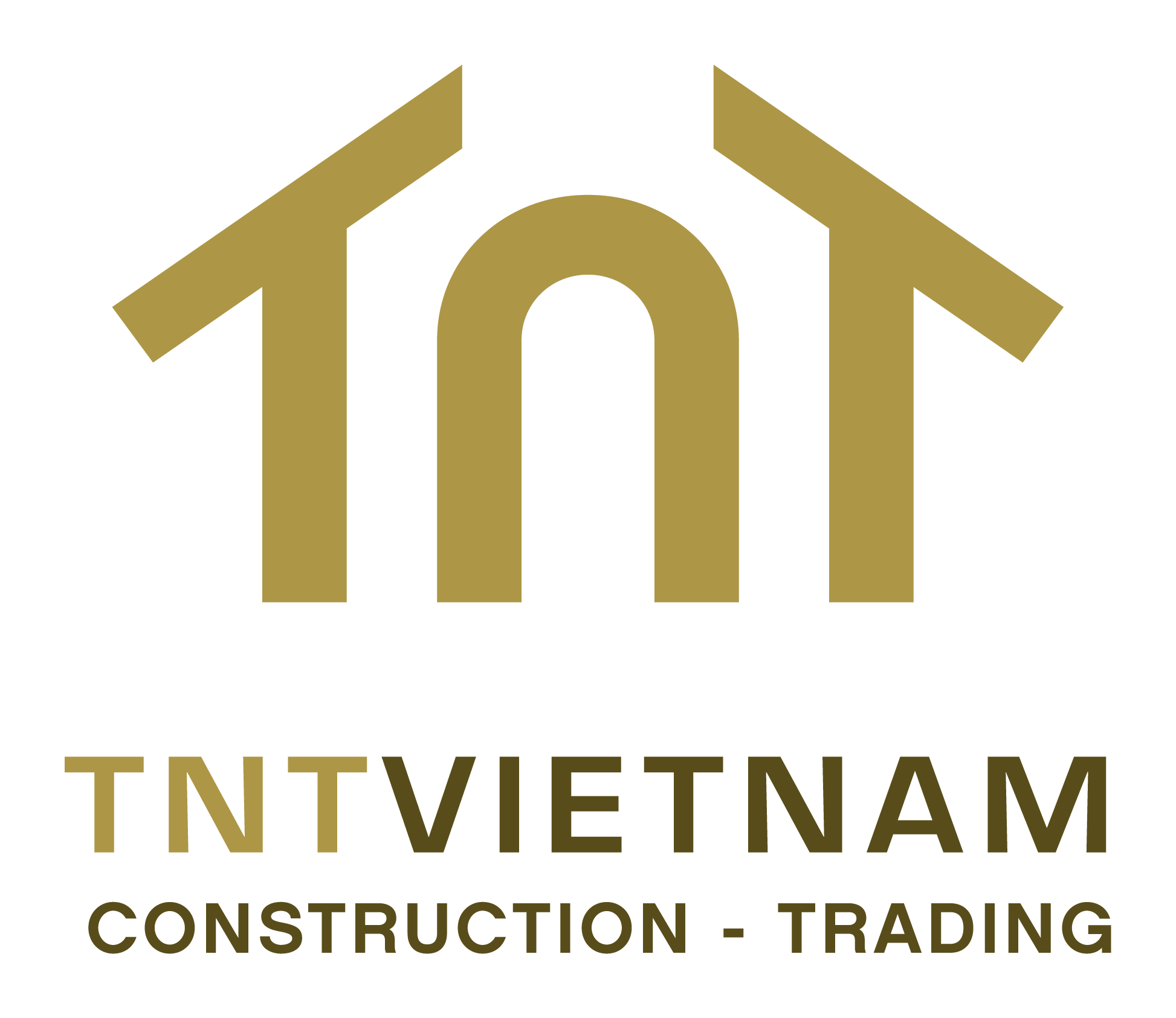 Công Ty Cổ Phần Đầu Tư Xây Dựng Và Thương Mại Tnt Việt Nam